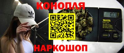 шишки Будённовск
