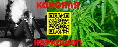 шишки Будённовск