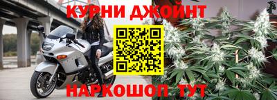 шишки Будённовск