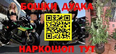 шишки Будённовск
