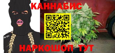 шишки Будённовск