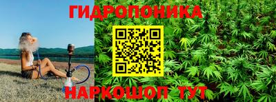 шишки Будённовск