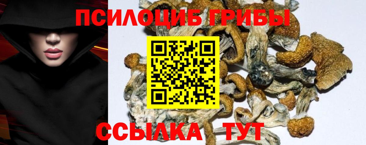 купить   Вход с VPN  Псилоцибиновые грибы Psilocybine cubensis  Туапсе  Псилоцибиновые грибы мухоморы 